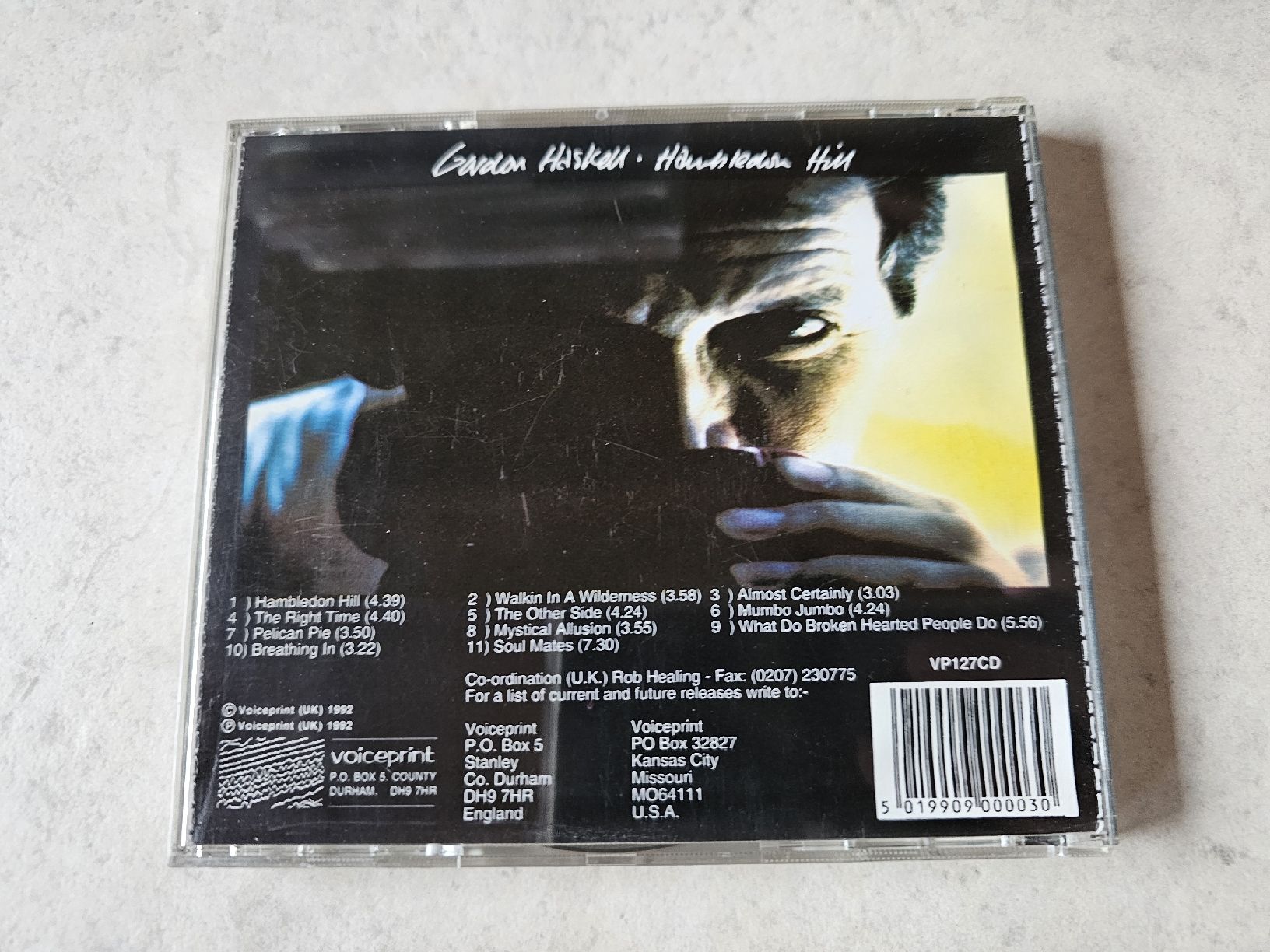 CD: Gordon Haskell  -  Hambledon Hill – Usato da Schneisingen venduto da backstore24 1