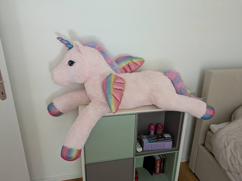 Jouets: Versch. Plüsch zu verschenken – D'occasion à Leibstadt par Mareli18