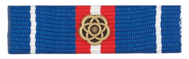 Schweizer Armee Placchette & Badge: Dienstleistungsabzeichen Schweizer Armee, 170 Diensttage – Usato da Sursee venduto da Engel19
