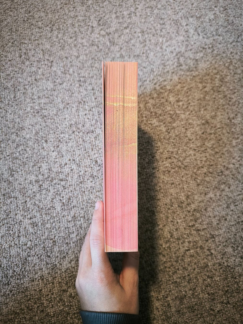 Libri: Summer in the City - Alex Aster – Nuovo e nell'imballaggio originale da Sargans venduto da .isa_ 1