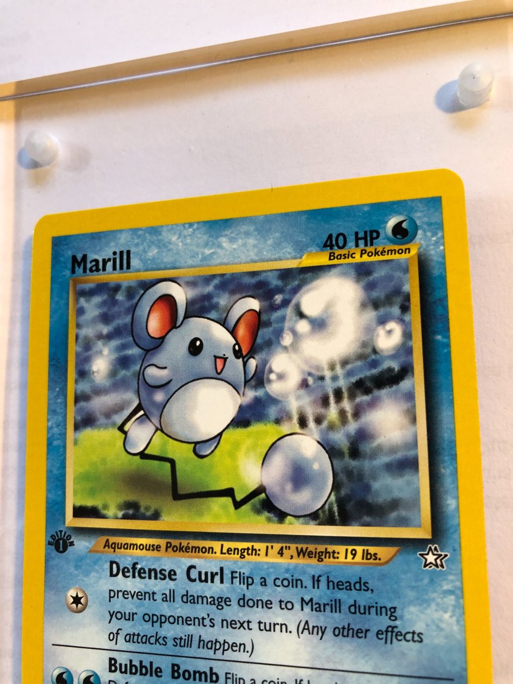 Carte collezionabili: Marill 1st Neo Genesis - MINT - ab 1.- – Usato da Giubiasco venduto da dan_pr8b 3