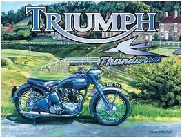 Blechschild-TRIUMPH - THUNDERBIRD - 30 x 40 cm