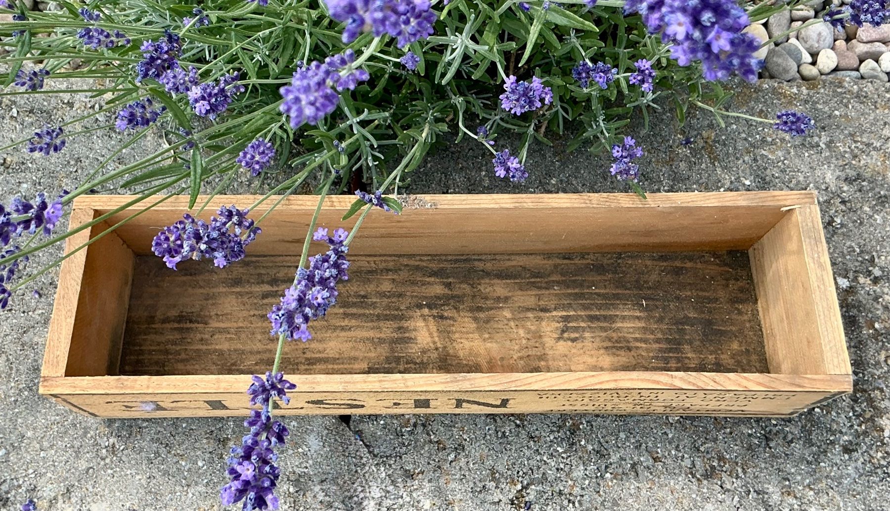 Casse di trasporto: ALTE KLEINE  NESTLÉ HOLKISTE – Usato da Zell LU venduto da Silvermemory 4