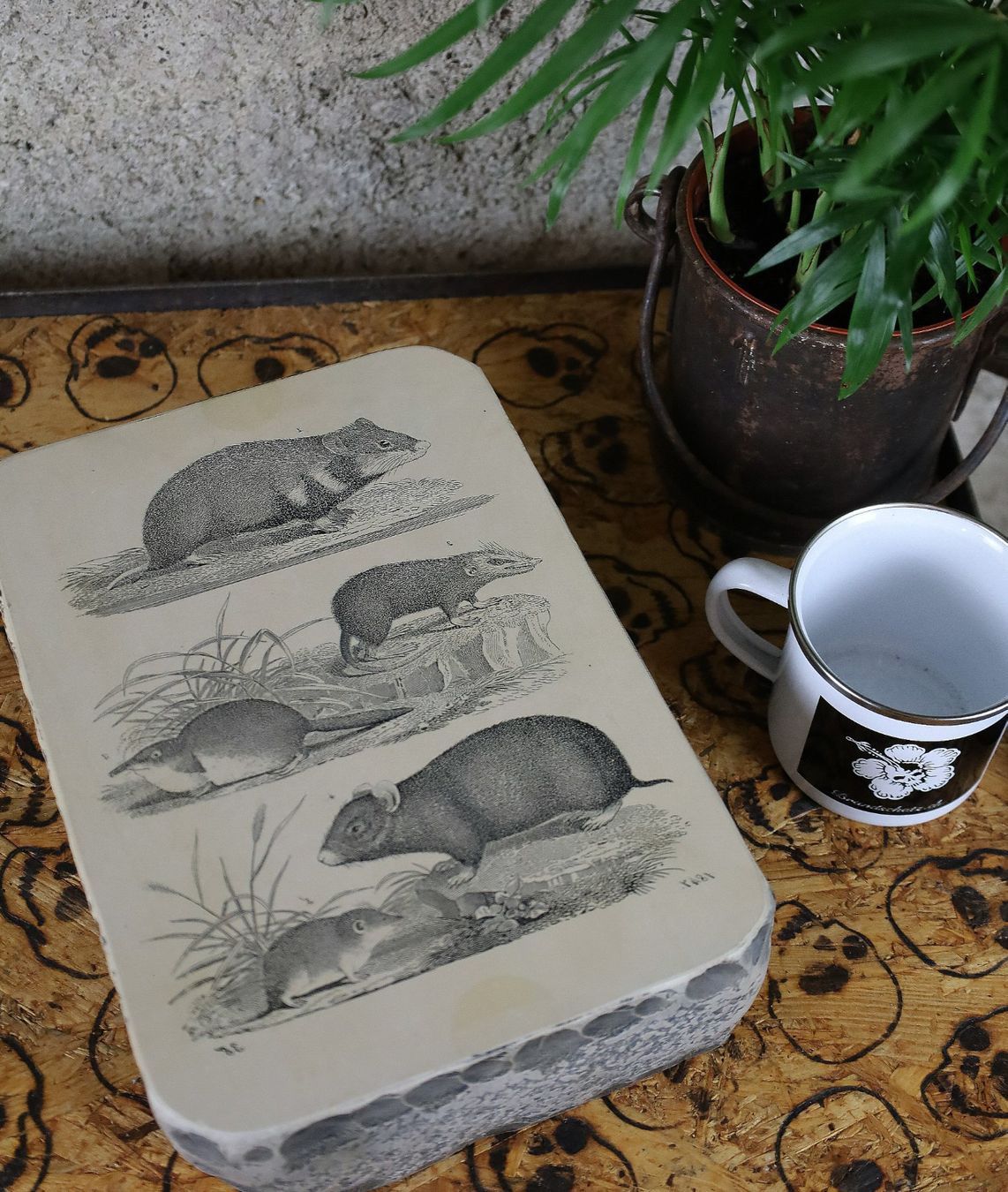 Grafiken & Lithographien: Lithographiestein "Hamster, Schlitzrüssler, Spitzmaus" – Gebraucht aus Birrwil von brandschatz_birrwil