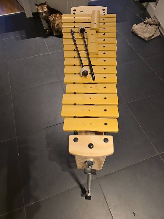 Instruments de musique: Xylophon – D'occasion à Wohlen AG par french46 3