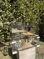 Cage pour rongeur avec accessoires
