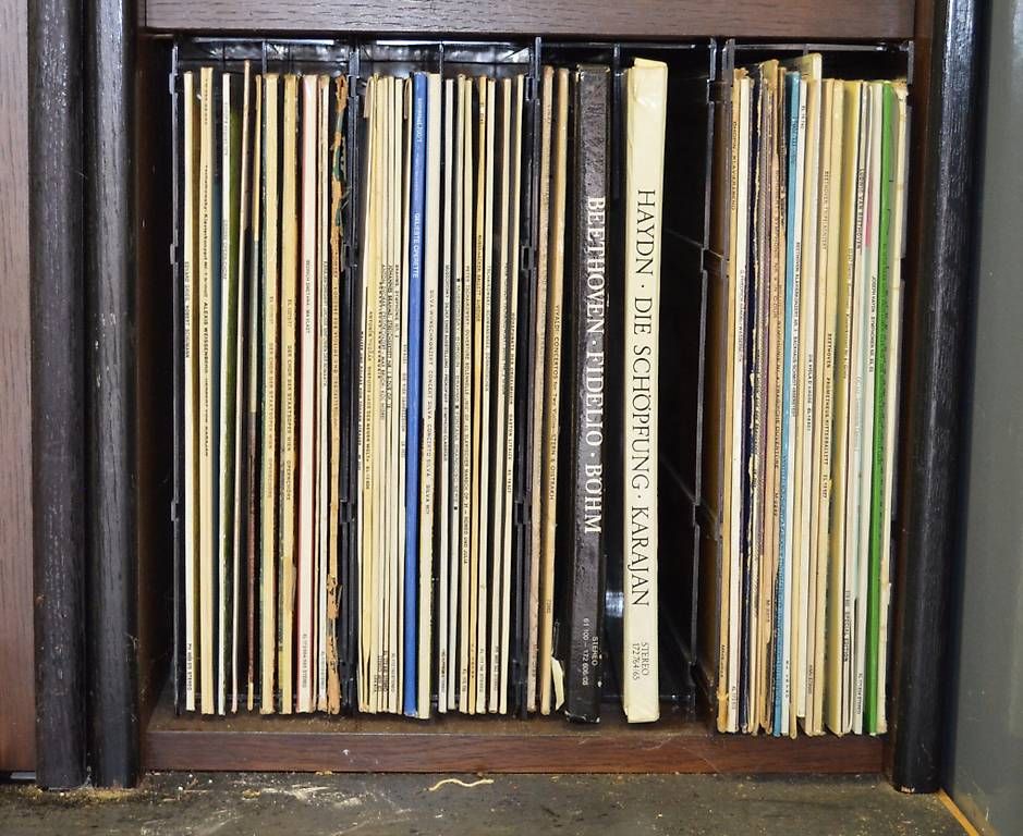 Dischi in vinile: Schallplattensammlung – Usato da Biel-Bienne venduto da Wiwibiel 2