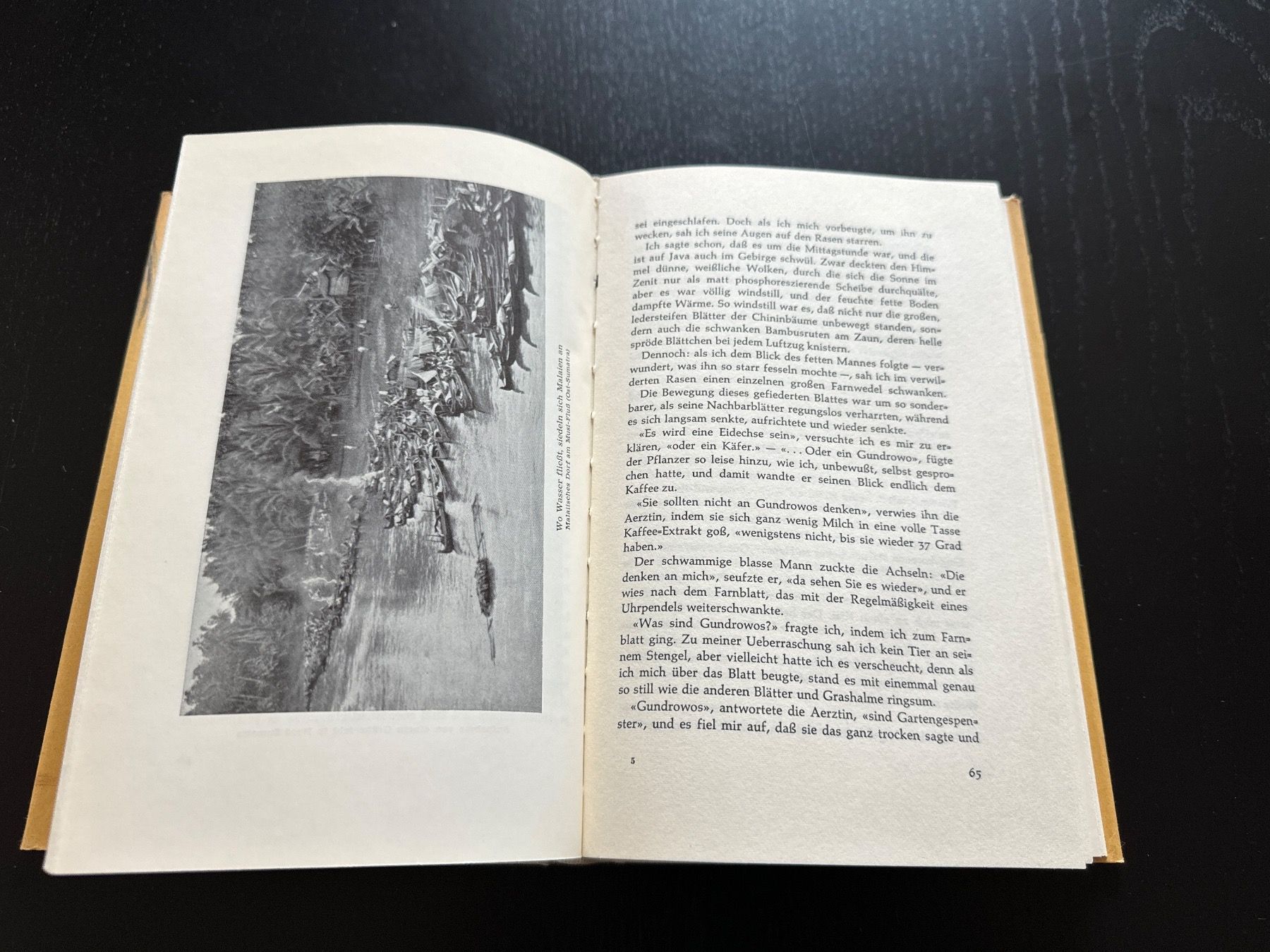 Bücher: Heitere Tage mit braunen Menschen – Gebraucht aus Erstfeld von Uhu1980 3