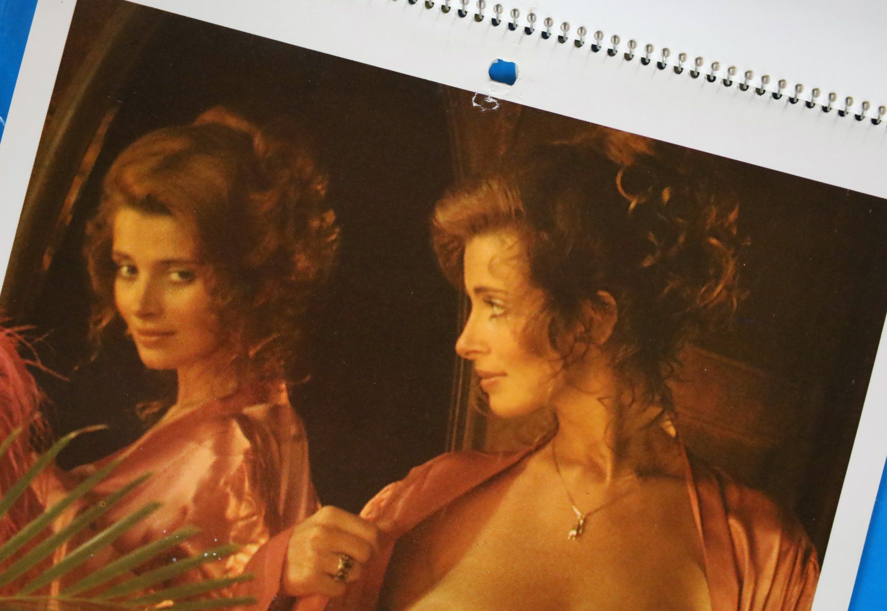 Playboy Calendari: PLAYBOY Kalender 1978 – Usato da Birrwil venduto da brandschatz_birrwil 4