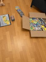 Pokémon Sammelkarten diverse Karten