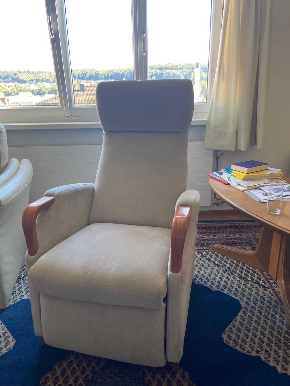 Poltrone: Fitform Sessel mit Aufstehhilfe – Usato da St.Gallen venduto da fra_5rlz