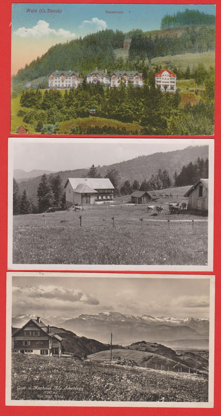 Cartoline postali: Wald  ZH   -  3 alte Ansichtkarten, dabei Farner Alpwirtsch. – Usato da Vitznau venduto da Ropaku