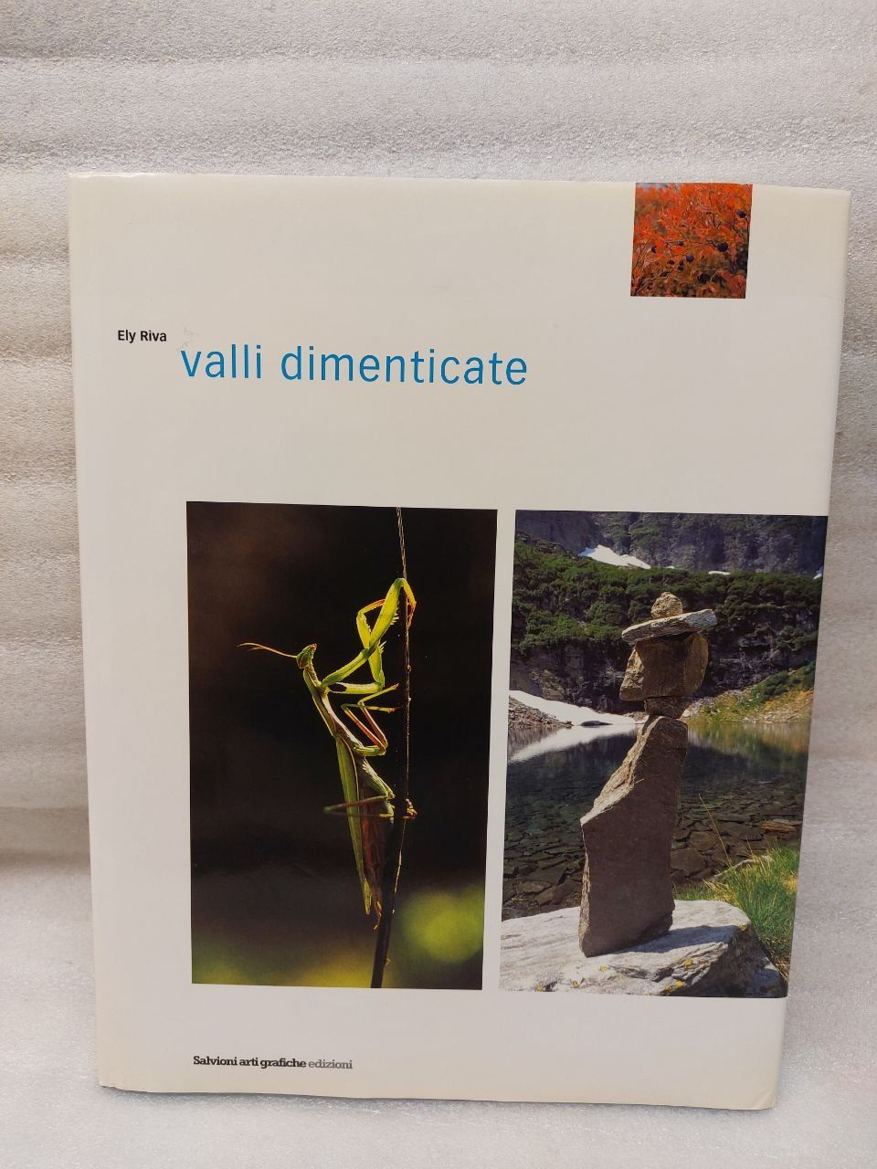 Bücher: Valli dimenticate - TICINO – Gebraucht aus Pambio Noranco von Pol69