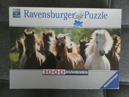 Wildpferde Ravensburger-Puzzle 1'000 Teile Panorama
