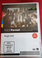 NZZ Format Kluge Esel DVD - Einblicke in Eselhaltung Schweiz