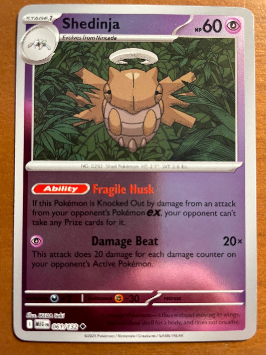 Pokémon Carte collezionabili: Pokemon Shedinja Reverse (Versand gratis) – Nuovo (secondo la descrizione) da Chur venduto da Angerson