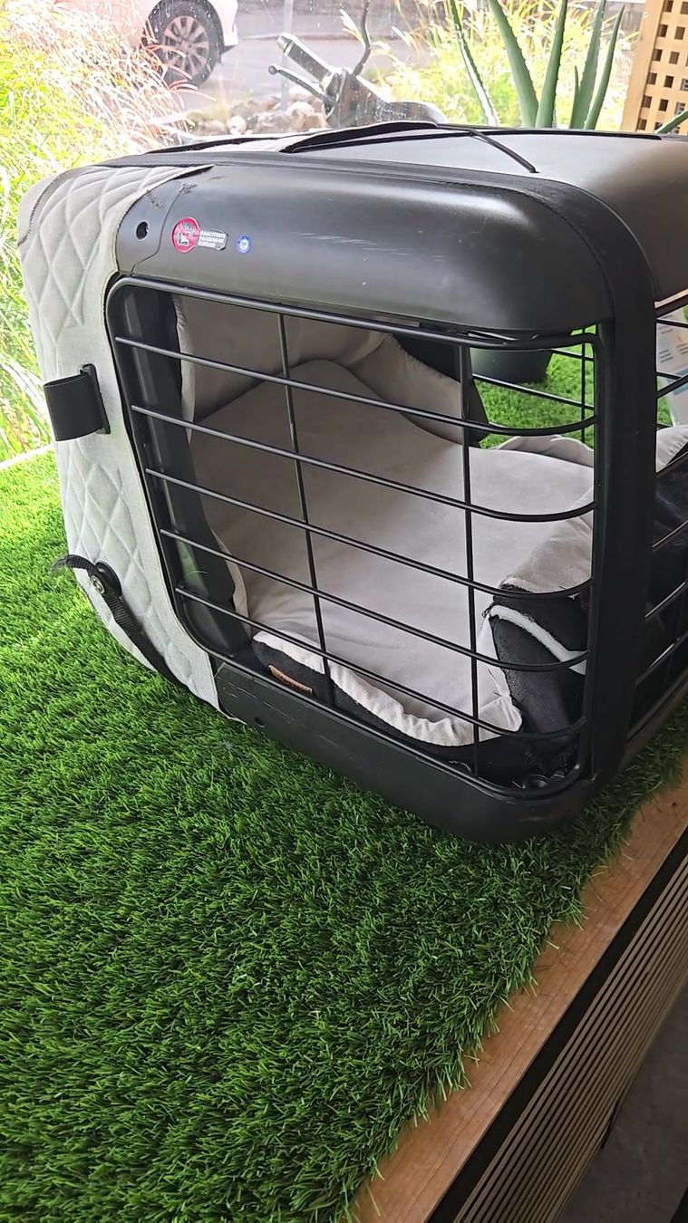 Niches, paniers: 4pets Transportbox Caree  – D'occasion à Basel par Moebeloutlet1 2