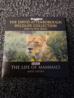 THE LIFE OF MAMMALS