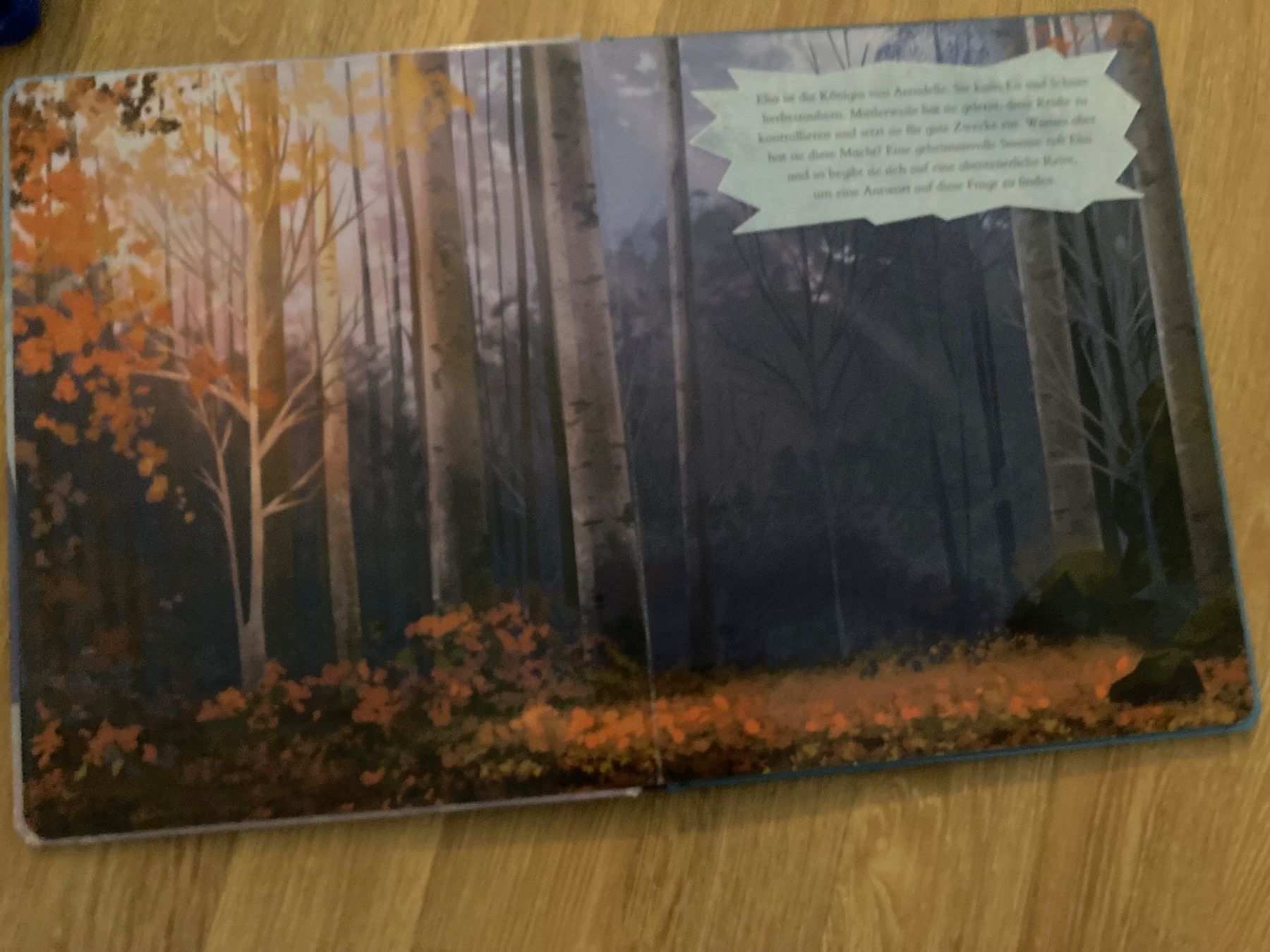 Libri: Frozen Magnet Buch – Usato da Emmenbrücke venduto da JJ_89 2