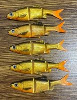 Savage Gear LB ROACH Swim & Jerk 7.5 cm Set