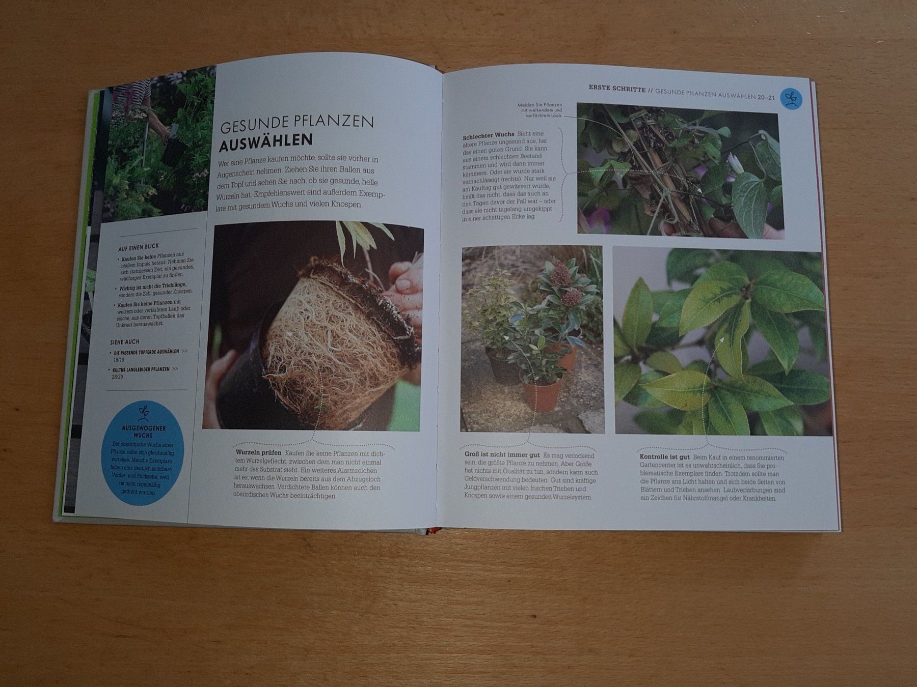 Bücher: So geht Garten: Das Gartenbuch für Einsteiger – Gebraucht aus Rotkreuz von nigal 4