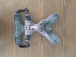Kyflie harnais Momentum chien taille L