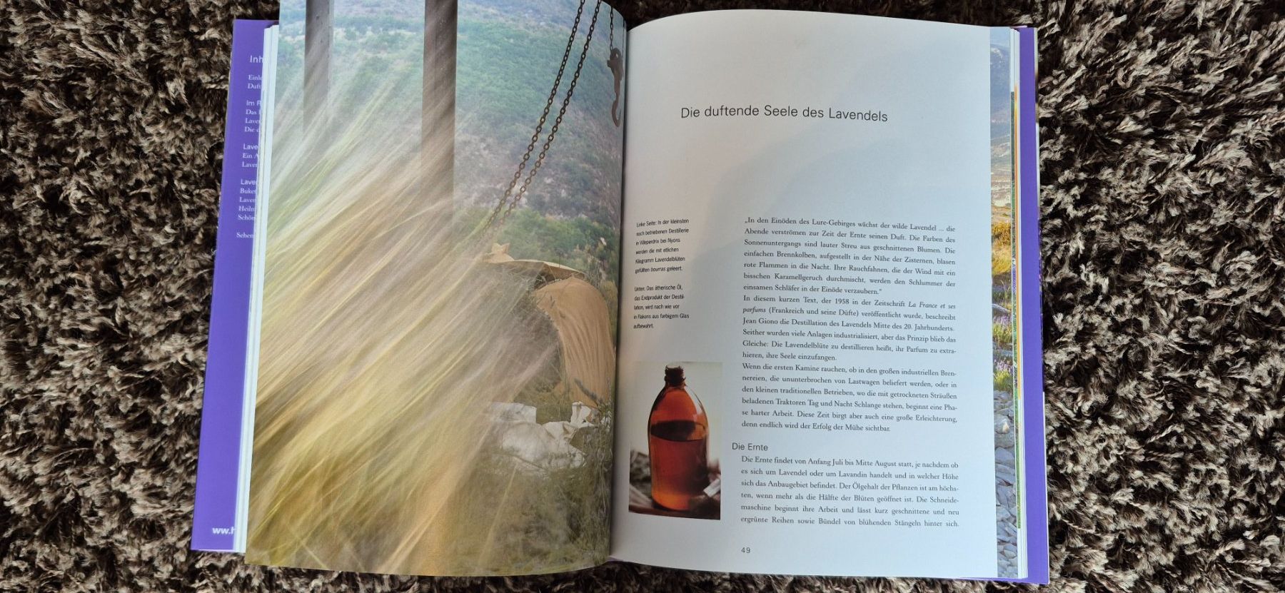 Libri: Lavendel - Der Duft des Südens  :: Bildband :: – Usato da Eggersriet venduto da Fredb 4