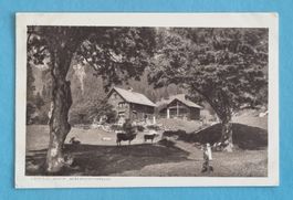 Braunwald - 1914