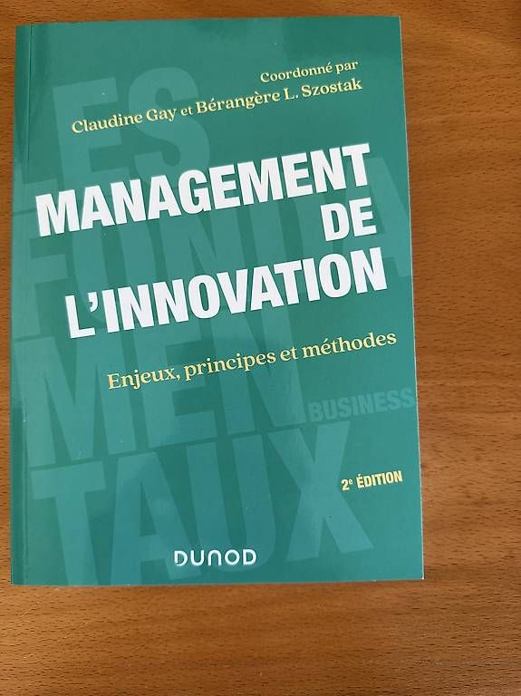 Libri: Management de l'innovation - Dunod – Usato da Poliez-le-Grand venduto da Seb_Evo