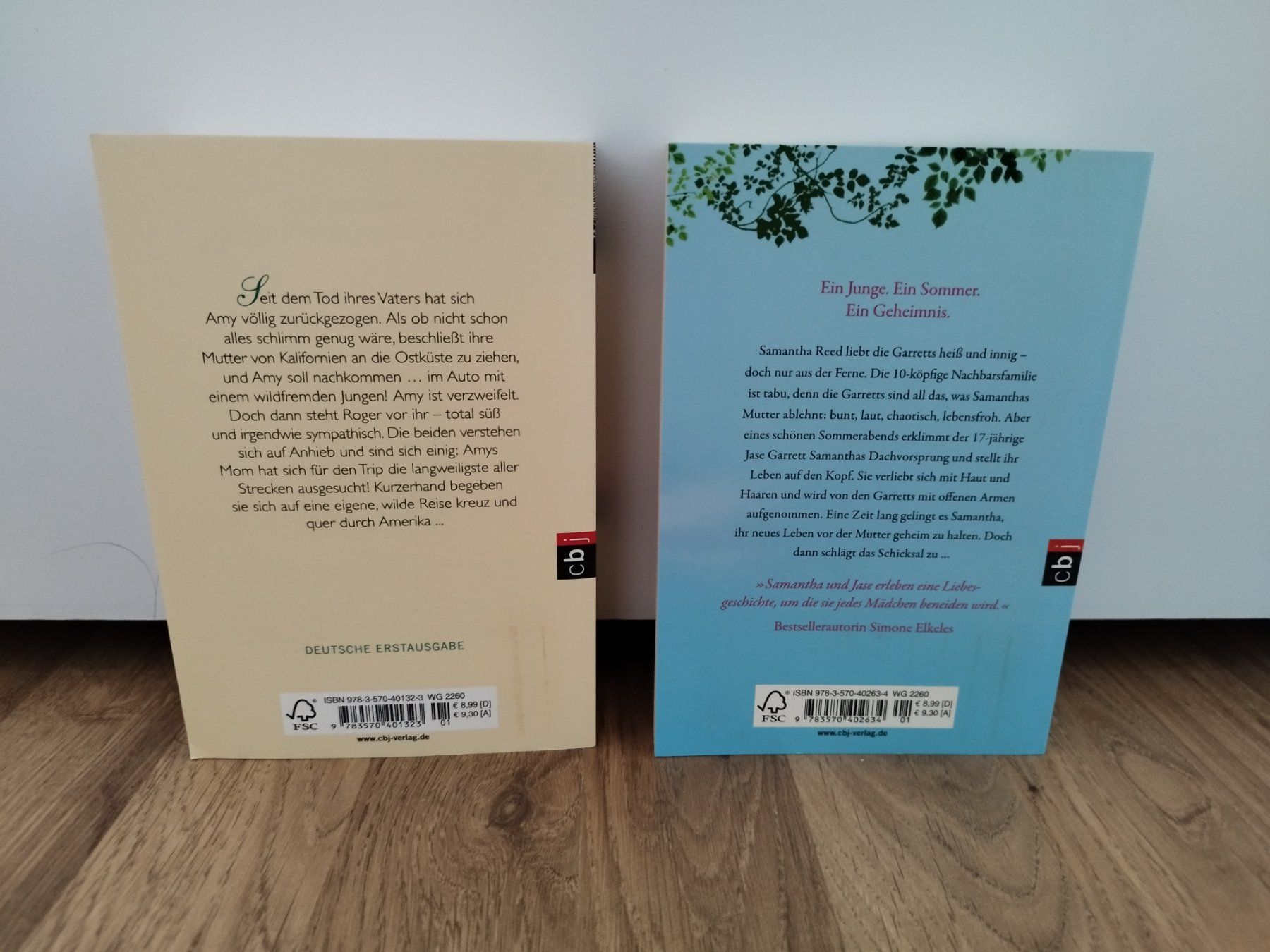 Libri: Matson, Fitzpatrick: Jugendbücher,  Sommerlektüre – Usato da St. Gallen venduto da Bookaholicgirl 1