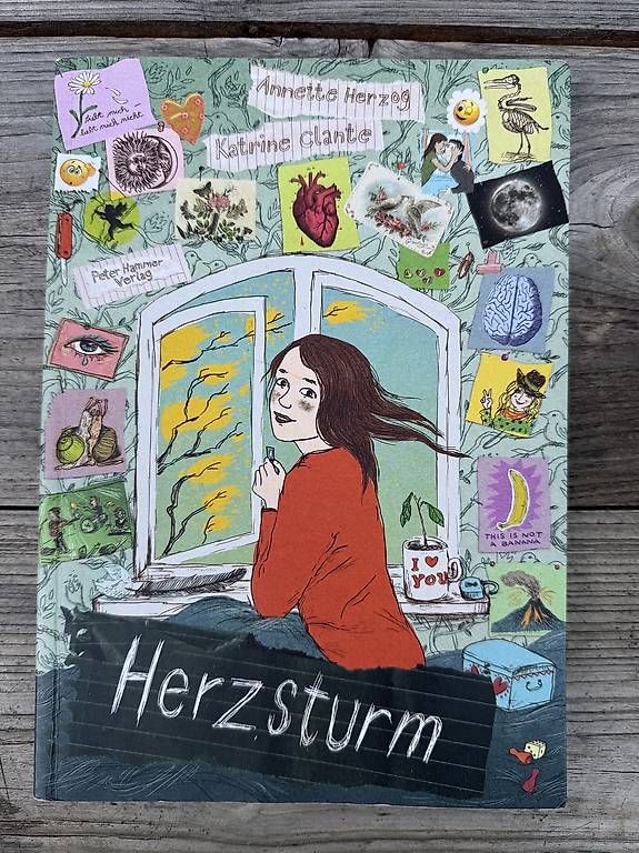 Libri: Diverse Bücher – Usato da Liebefeld venduto da katrin13 3