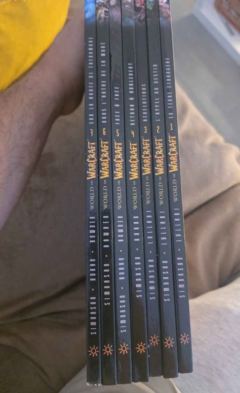 Libri: BD World of Warcraft  – Usato da Bernex venduto da Kirata
