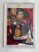 Sportzoo Rasmus Asplund HC Davos pink