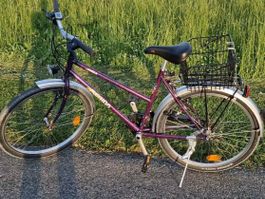 stabiles Velo