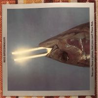 LP - REO Speedwagon - You Can Tune A Piano, But You Can't …