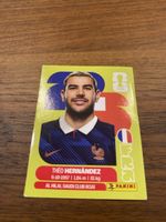 Panini Fra3