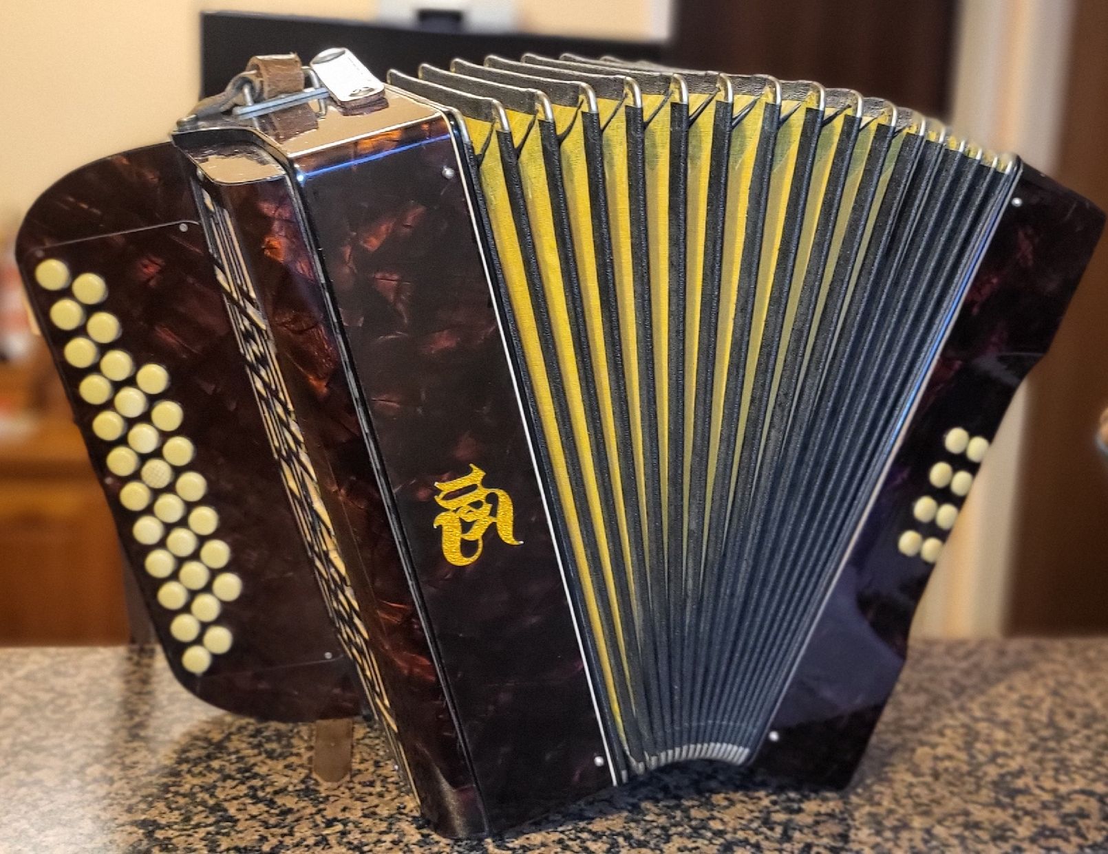 Strumenti musicali: Accordéon Tell Bachembulach Diatonique – Usato da Penthalaz venduto da EvandroLuz 4
