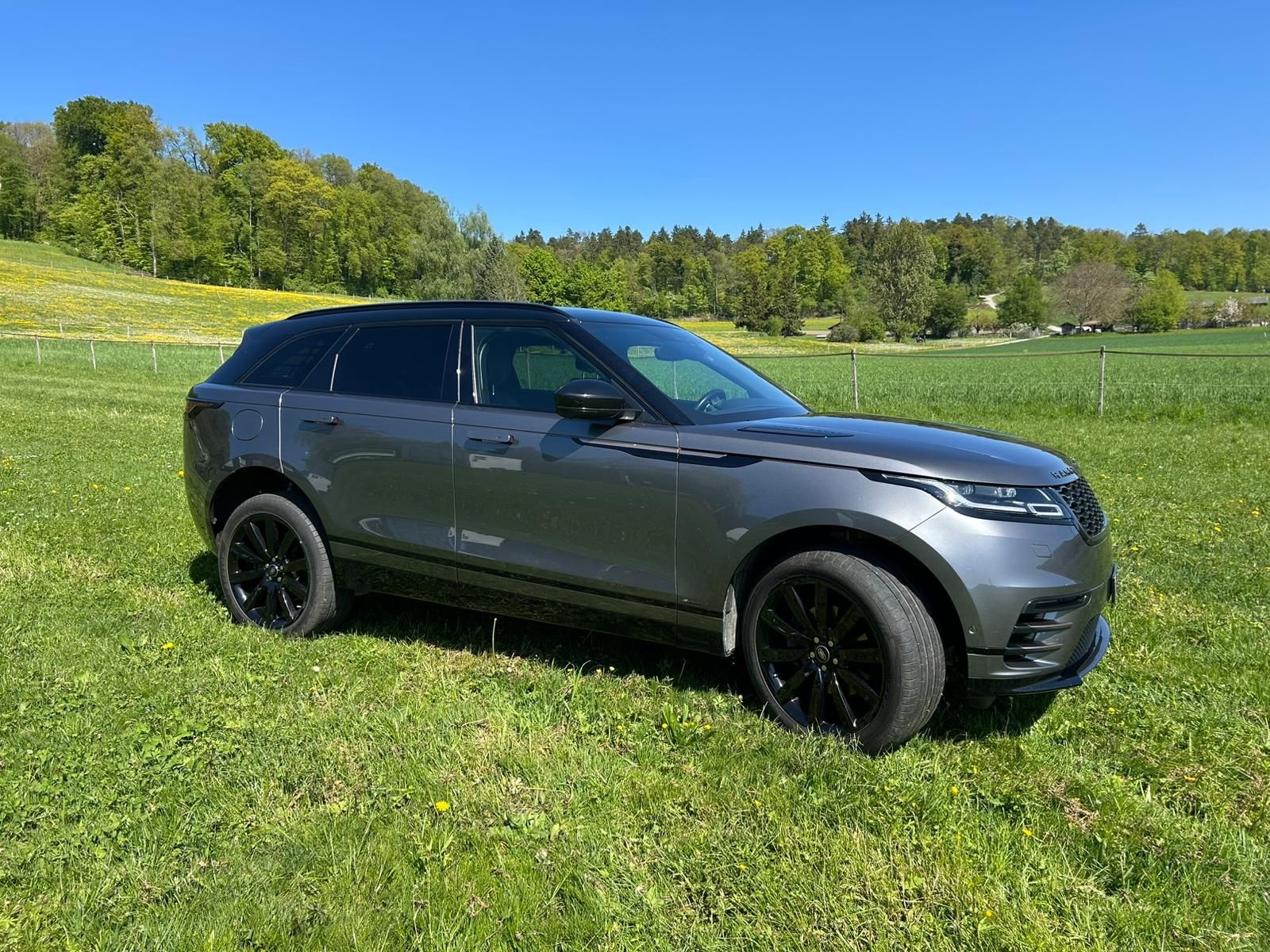 Land Rover Automobili: Range Rover Velar P300 SE – Usato da Effretikon venduto da Ro_man