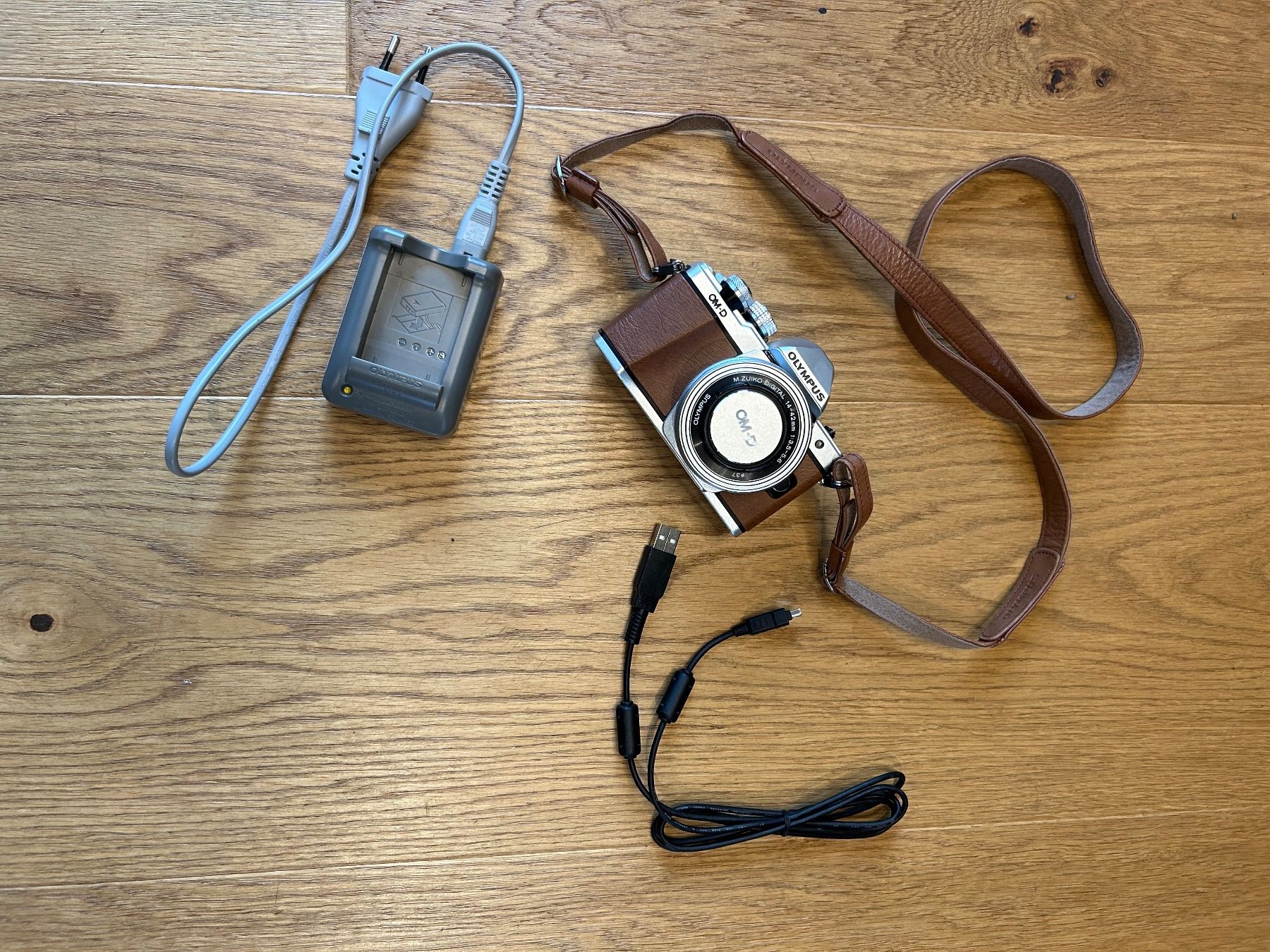 Olympus Fotocamera: Olympus OM-D E-M10II Limitierte Version Fuchsbraun – Usato da Röschenz venduto da Bijouxaddicted