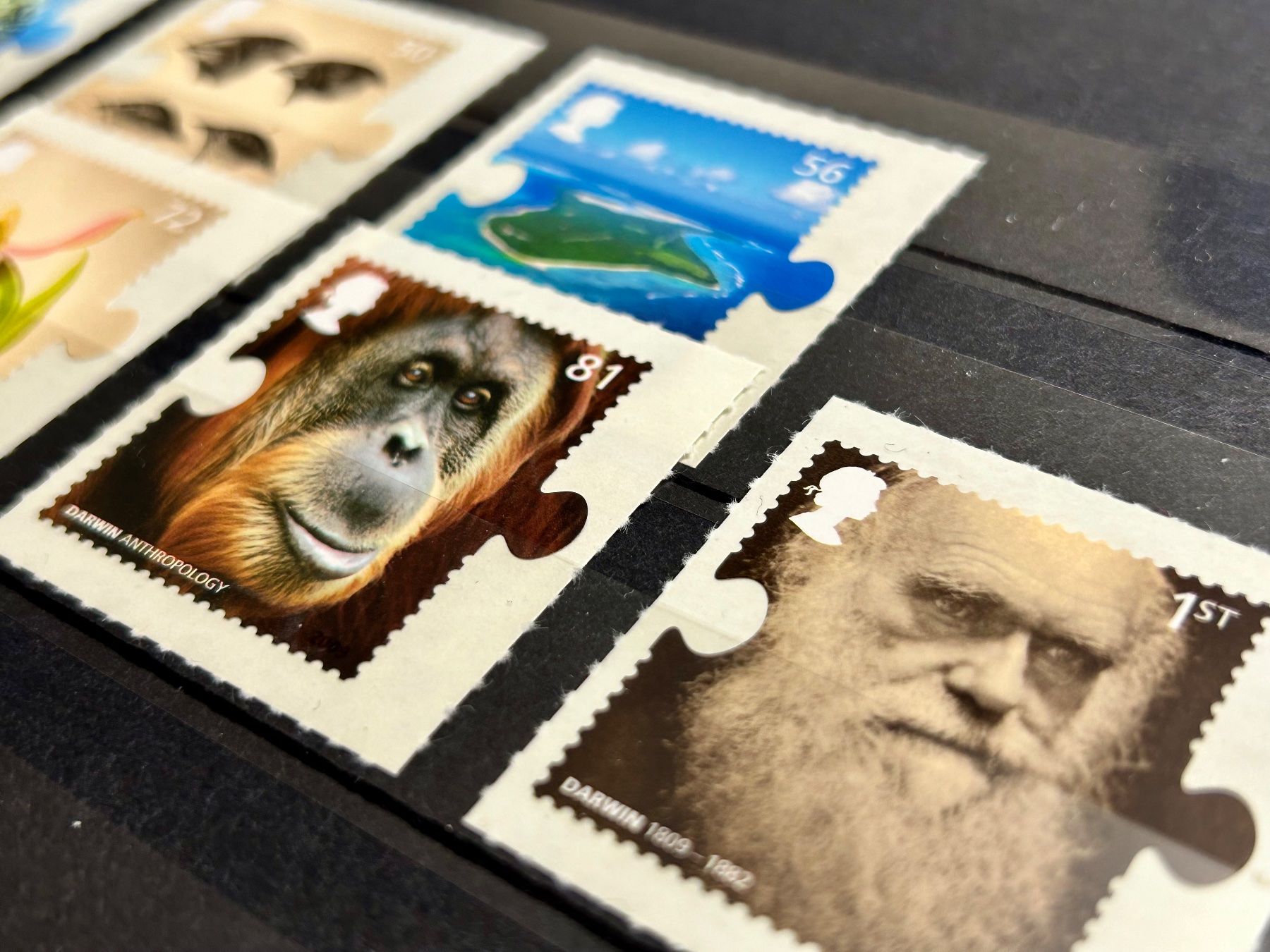 Alle Briefmarken: Seltene interessante Seie - "Darwin", postfrisch – Neu (gemäss Beschreibung) aus Braunau von Duczelli 2
