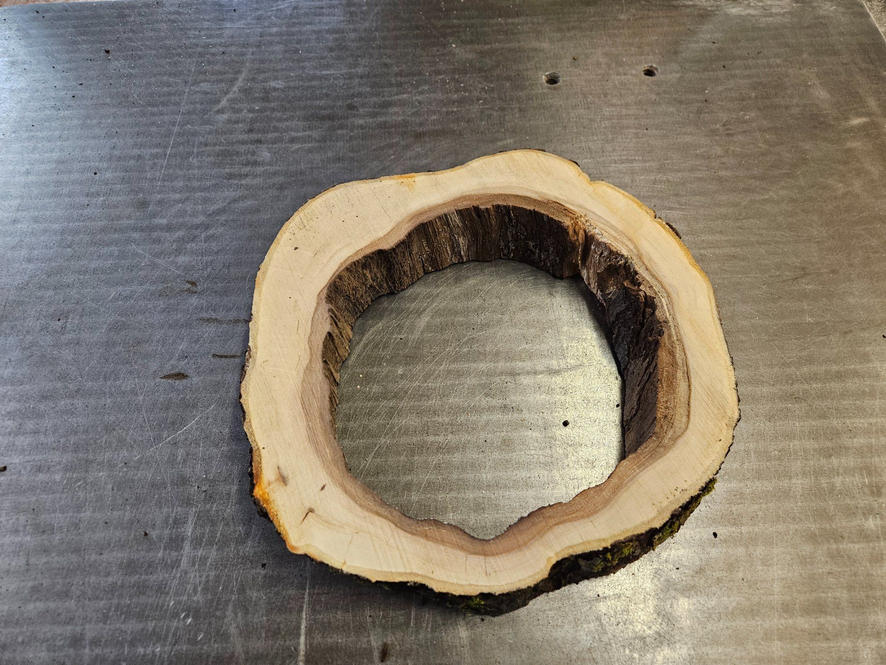 Articoli in legno: Baumscheibe Apfelbaum – Nuovo (secondo la descrizione) da Schangnau venduto da egli6.2 5