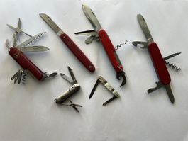 Taschenmesser Konvolut 6 Stk verschiedene Marken und Grösse