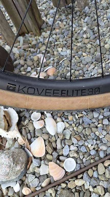 Trek Velos: Trek MTB Carbon – Neu und originalverpackt aus Schönenwerd von mis_k7d9 1
