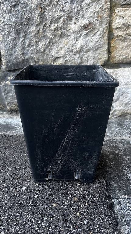 Pots de fleurs: Anzuchttöpfe  – D'occasion à Breitenbach par aya_w5x7