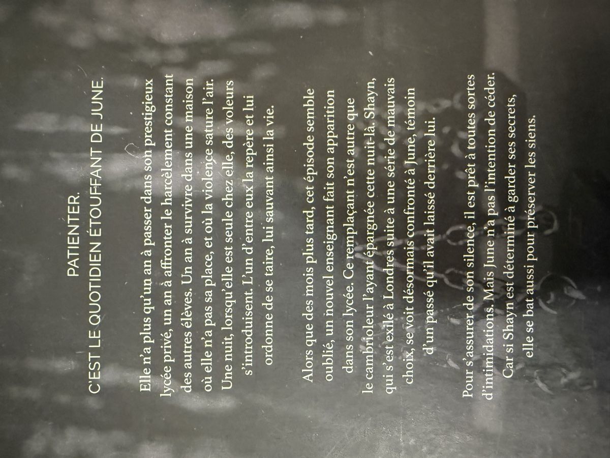 Libri: TROUBLE MAKER DE LAURA SWAN (BROCHÉ) – Nuovo e nell'imballaggio originale da Villars-sur-Glâne venduto da sib_rwl7 1