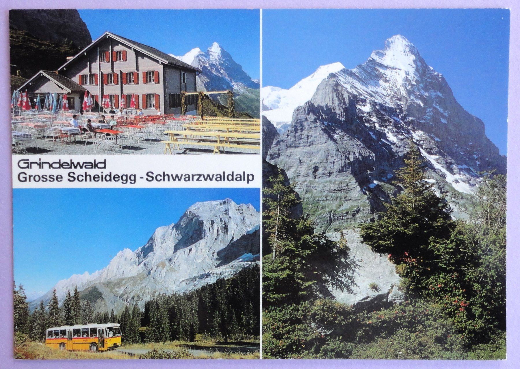 Cartes postales: Grindelwald – D'occasion à Fétigny par Billy2miny