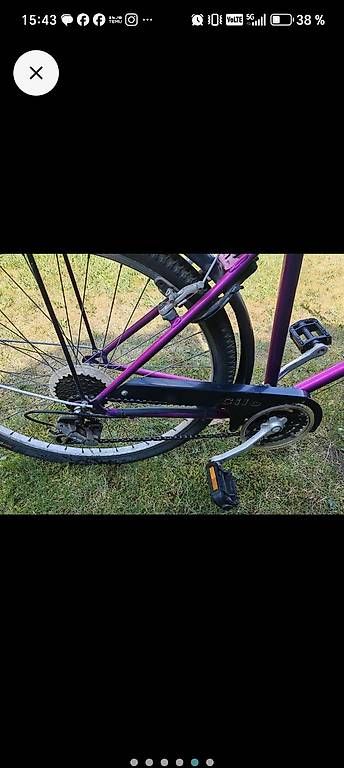 Biciclette: Gebrauchtes Citybike  – Usato da Wila venduto da neu_s8qs 1