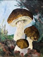 W. SIEFERT   Steinpilze