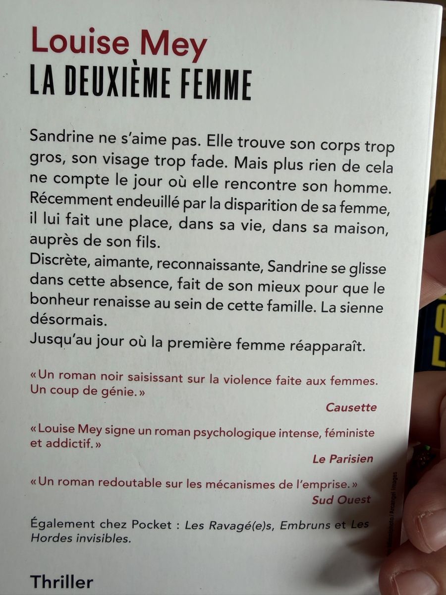 Libri: 4 thrillers domestiques  – Usato da Crissier venduto da Nouchki76 1
