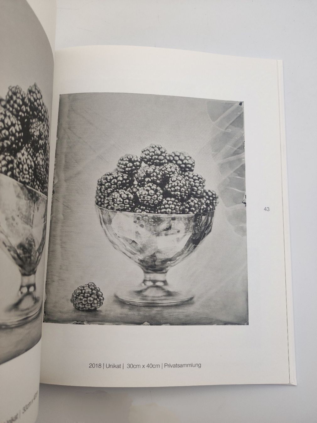 Libri: PHOTOBOOK - STEFFEN DIEMER – Nuovo (secondo la descrizione) da Goldach venduto da Gaip 4